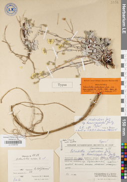 LE 01035735