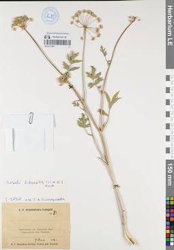 LE 01171871