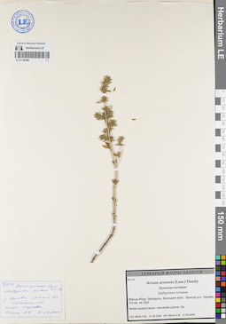 LE 01120380