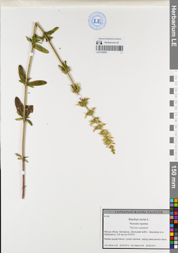 LE 01120391