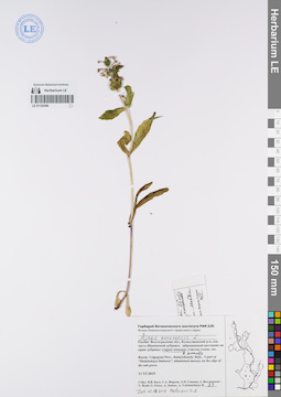 LE 01120396