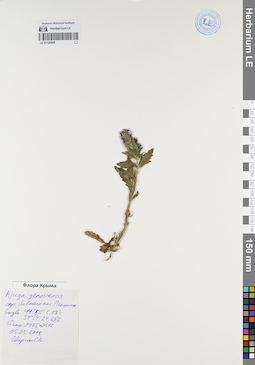 LE 01120406
