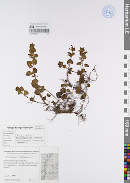 LE 01120427