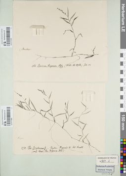 LE 01171880