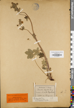 LE 01035791