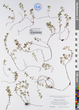 LE 01120330