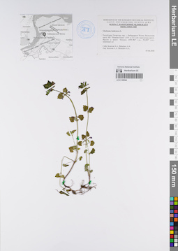 LE 01120344