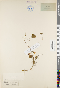 LE 01015964