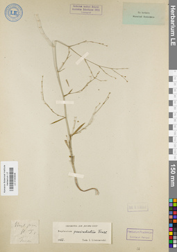 LE 01043508
