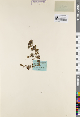 LE 01162440