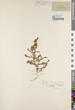 LE 01162444