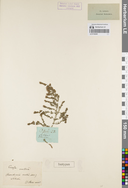 LE 01162445