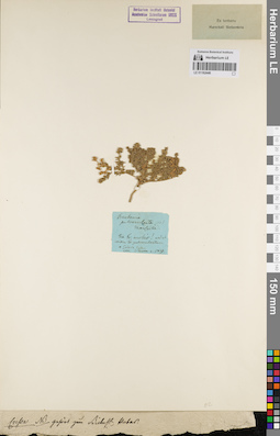 LE 01162446