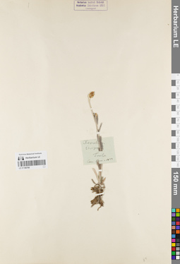 LE 01180768