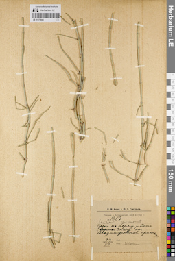 LE 01172045
