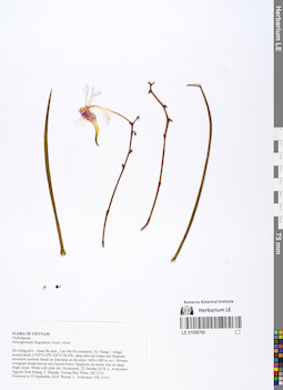 LE 01058760