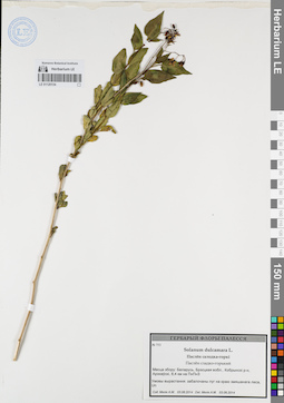 LE 01120134