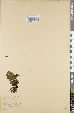 LE 01171944