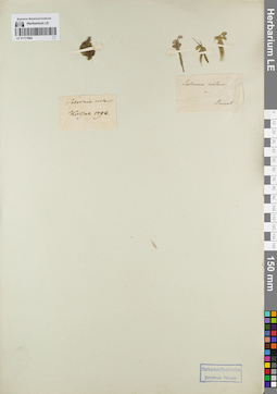 LE 01171964