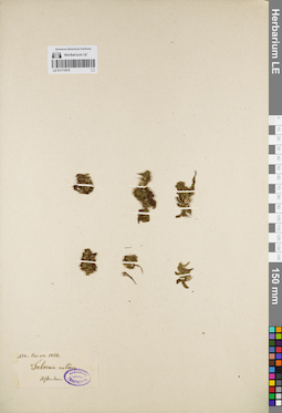 LE 01171970