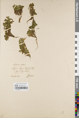 LE 01171979