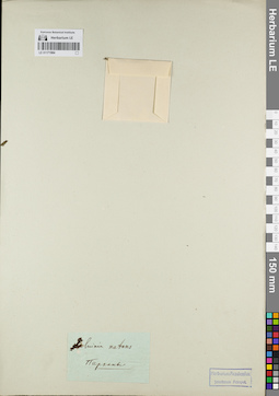 LE 01171984