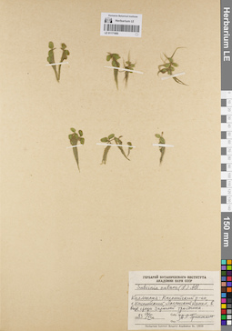 LE 01171985