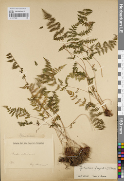 LE 01171900