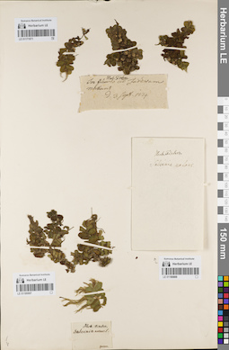 LE 01180888