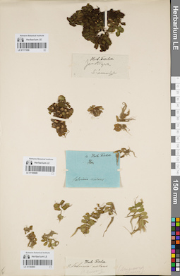 LE 01180889