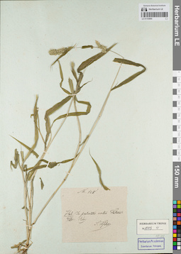 LE 01155890
