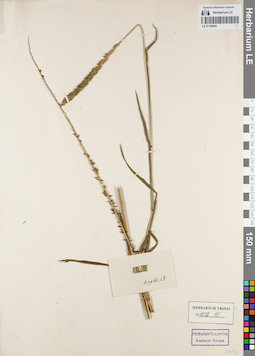 LE 01156040