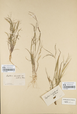 LE 01156067