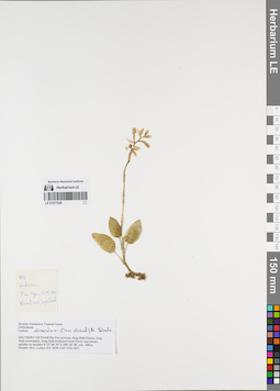 LE 01077926