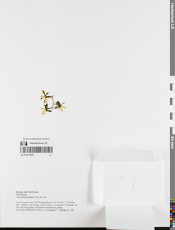 LE 01077939