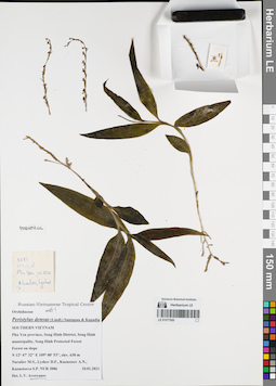LE 01077950