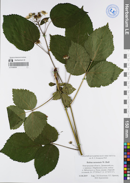 LE 01062024