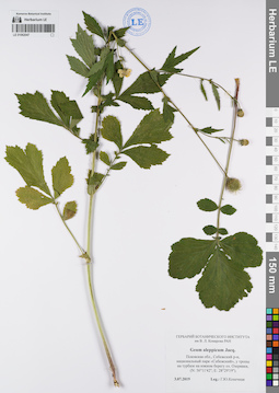 LE 01062047