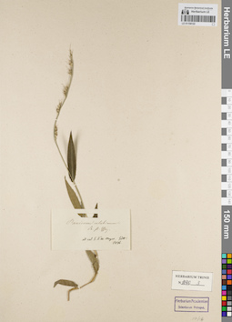 LE 01156122