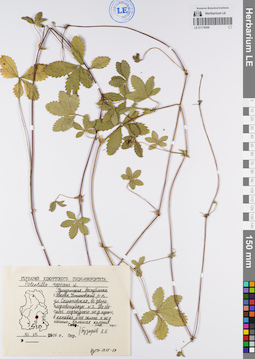 LE 01118306
