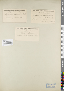 LE 01175280