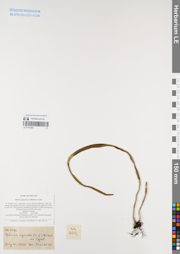 LE 01167263