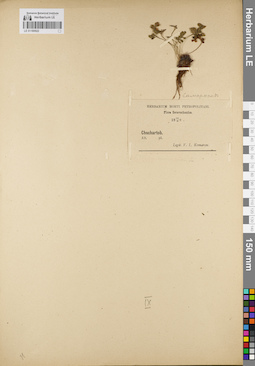 LE 01180922