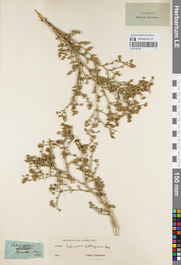 LE 01162720