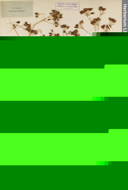 LE 01162727