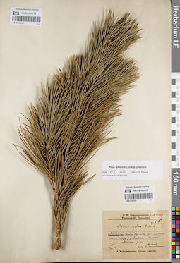 LE 01148160