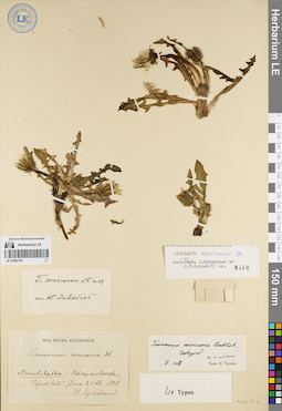 LE 01082103