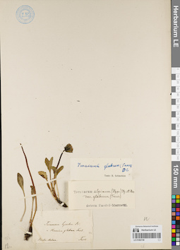 LE 01082158