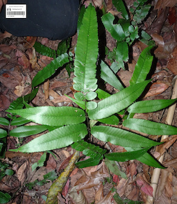 LE 01360233