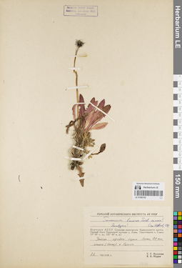 LE 01082192